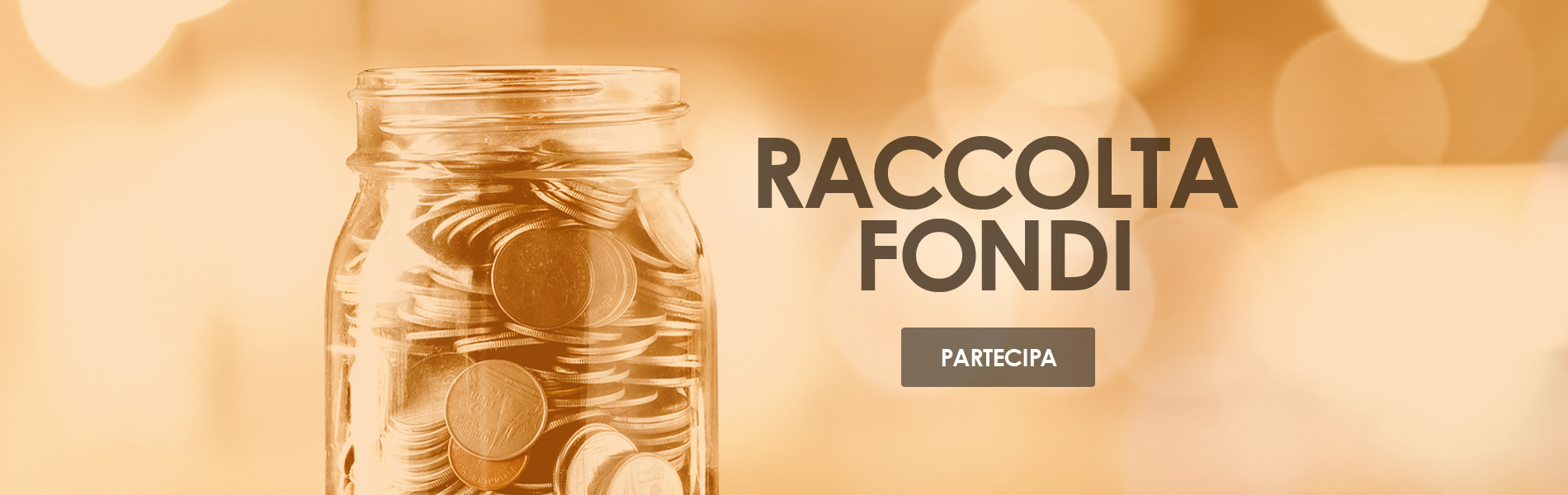 Raccolta fondi